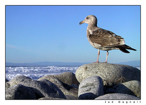 CRW_3152.jpg