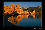 CRW-0305-2111b_pk.jpg