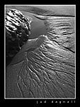 IMG_2364.jpg