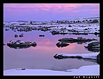 IMG_3484.jpg