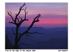 c200662.jpg