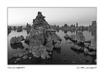 crw-20040530-6777.jpg