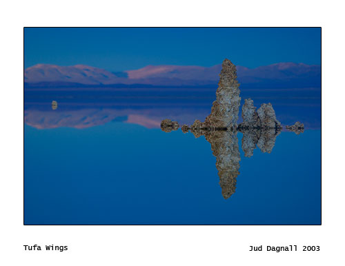 031222-5635_tufa_wings.jpg