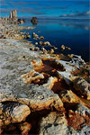 0312-5280a_mono_lake_shoreline_1.jpg
