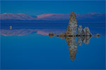 031222-5635_tufa_wings.jpg