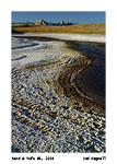 040905-7835_sand_and_tufa_1.jpg