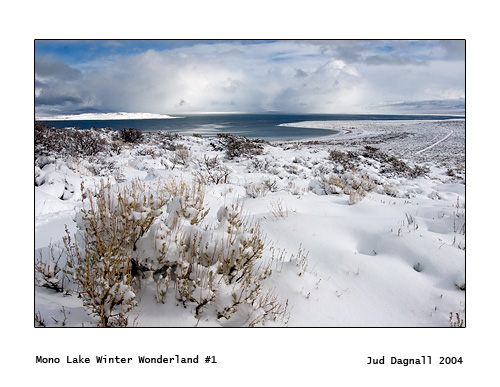 041231-09272a_mono_lake_winter_wonderland.jpg