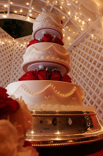 050402-12217_cake_rising.jpg